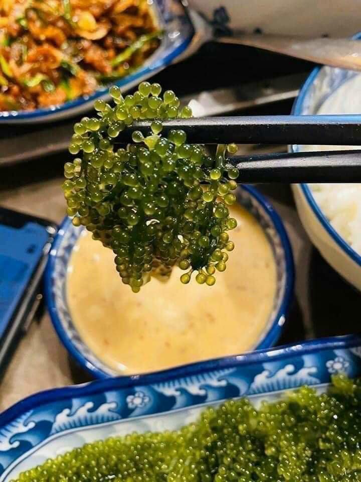 Rong nho tách nước Nha Trang siêu ngon