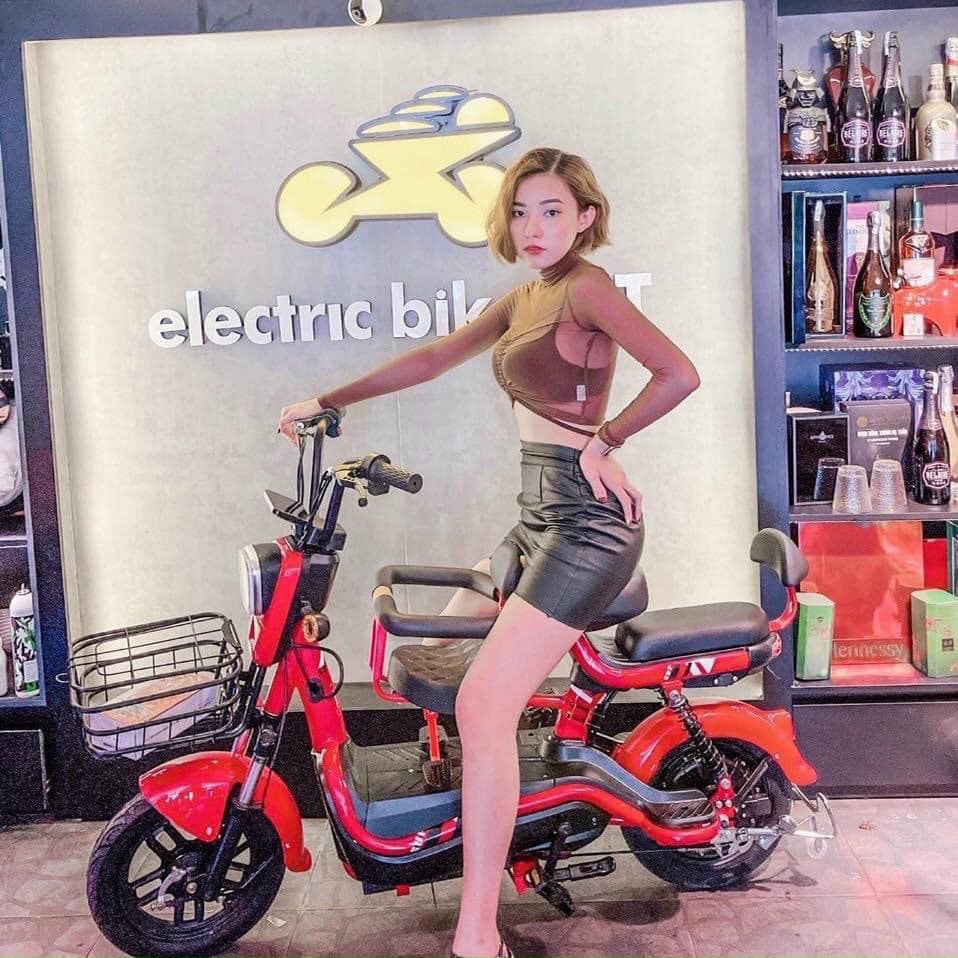 Xe đạp điện