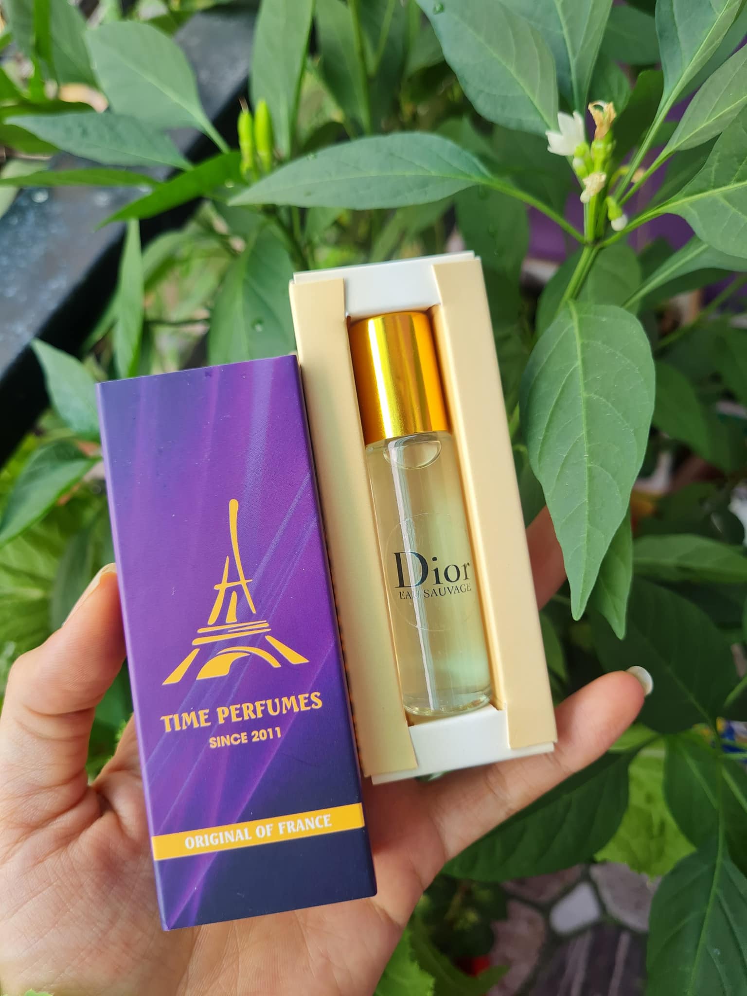 TINH DẦU NƯỚC HOA thơm lâu dài gấp 4 lần nước hoa