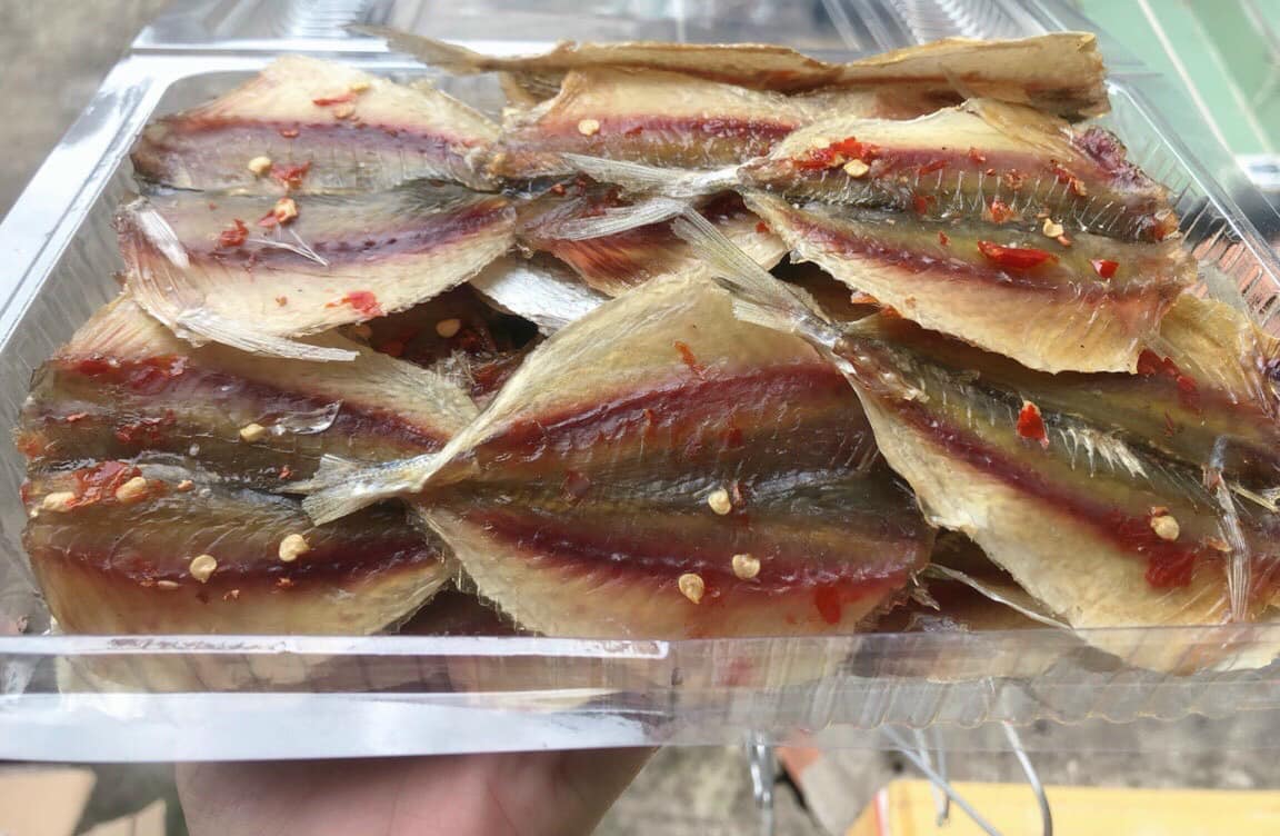 Cá ngân chỉ vàng