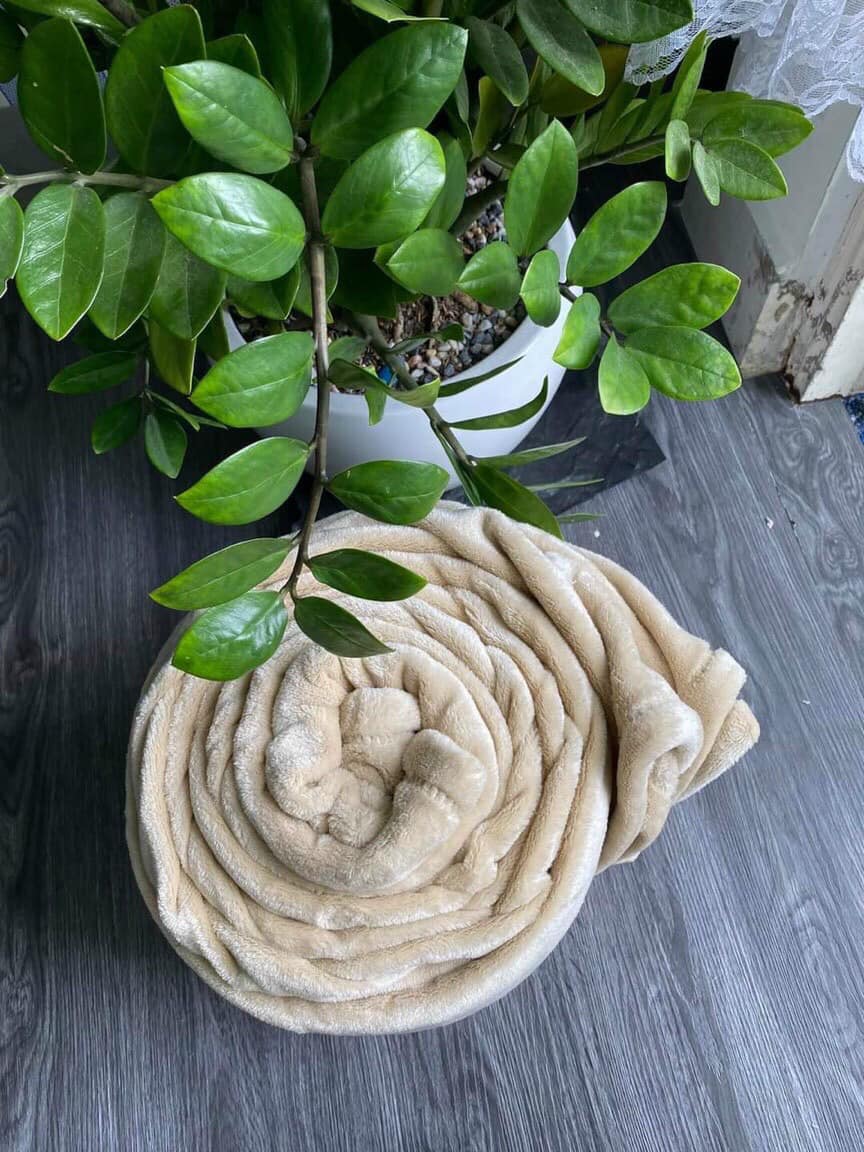 Mền hàn quốc xịn mịn