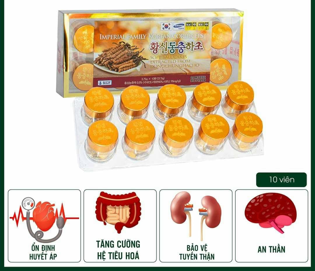 ĐÔNG TRÙNG HẠ THẢO