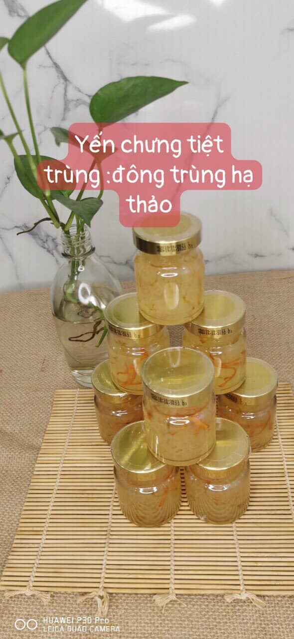 Nhà yến cao cấp - Yến Chưng cao cấp