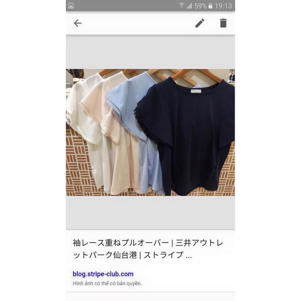 Áo thun xuất hàn, hàng xuất dư free size