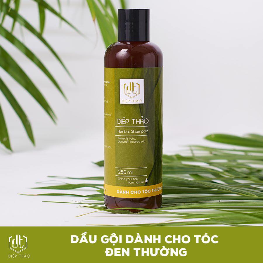 DIỆP THẢO - DẦU GỘI BỒ KẾT THIÊN NHIÊN