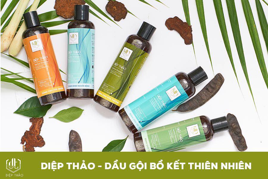 DIỆP THẢO - DẦU GỘI BỒ KẾT THIÊN NHIÊN