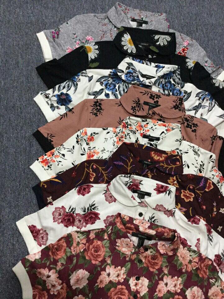 Đầm thun coton cổ sơmi
