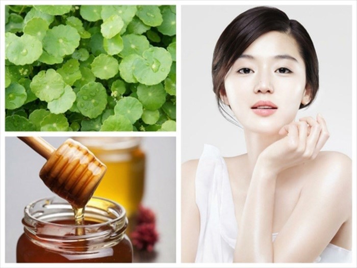 Rau má chữa bệnh gan