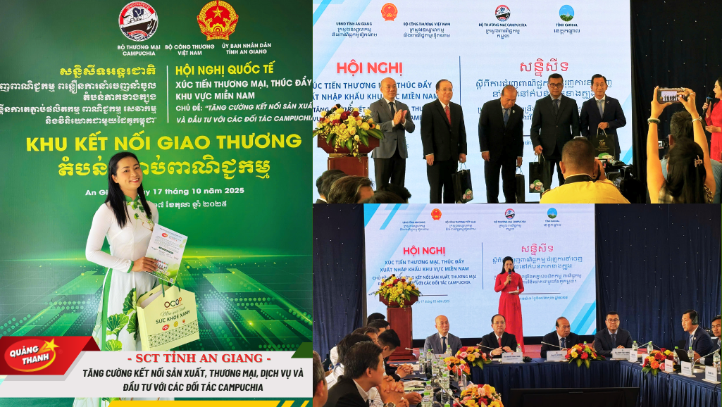 Hội nghị