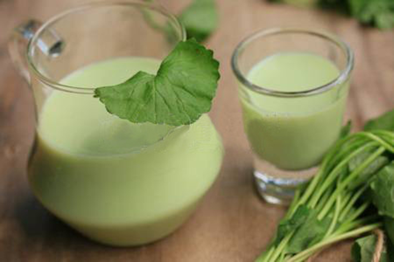 Bột rau má đậu xanh là gì? Bột rau má đậu xanh là gì?