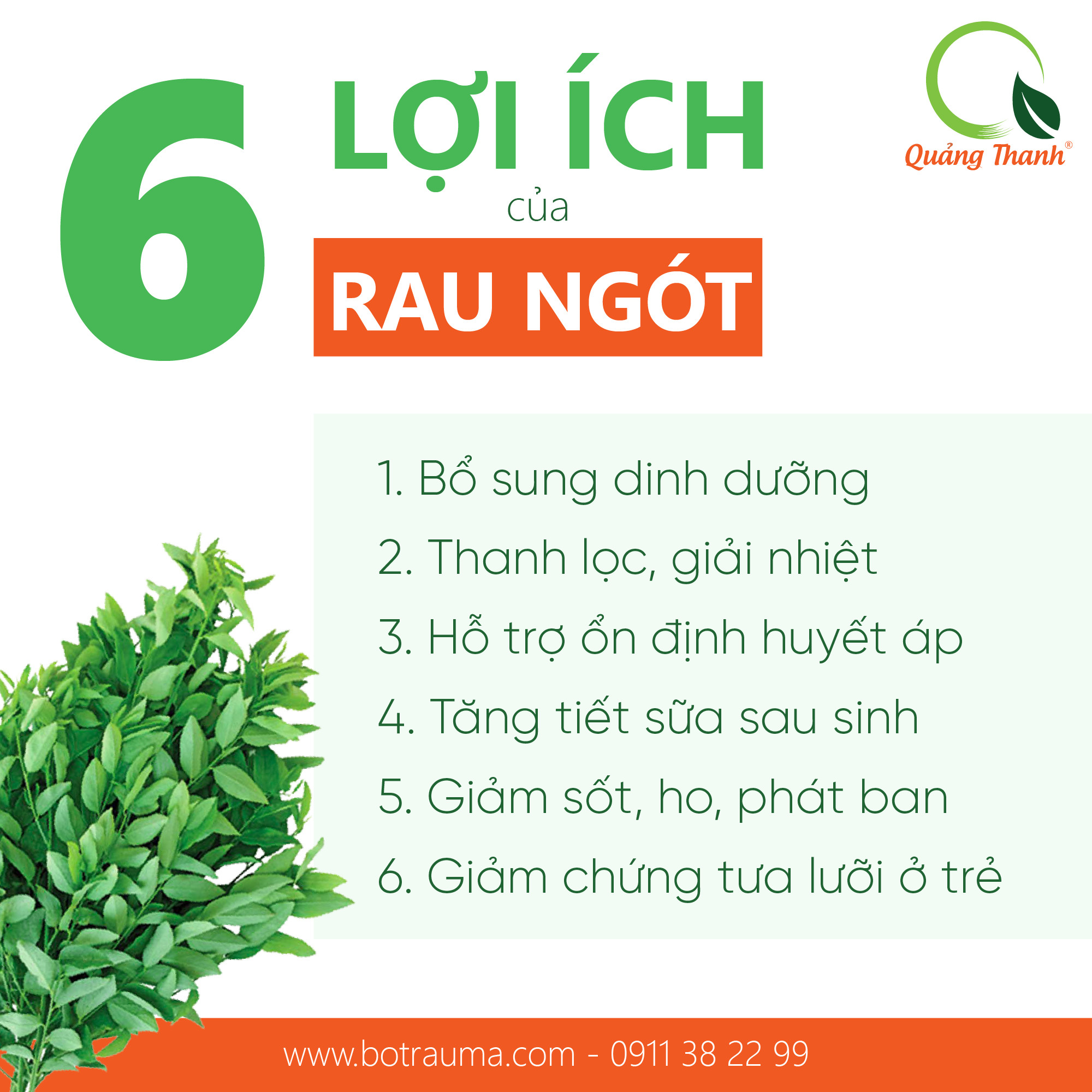 BỘT RAU NGÓT - HỘP 30G - FREESHIP ĐƠN TỪ 495K