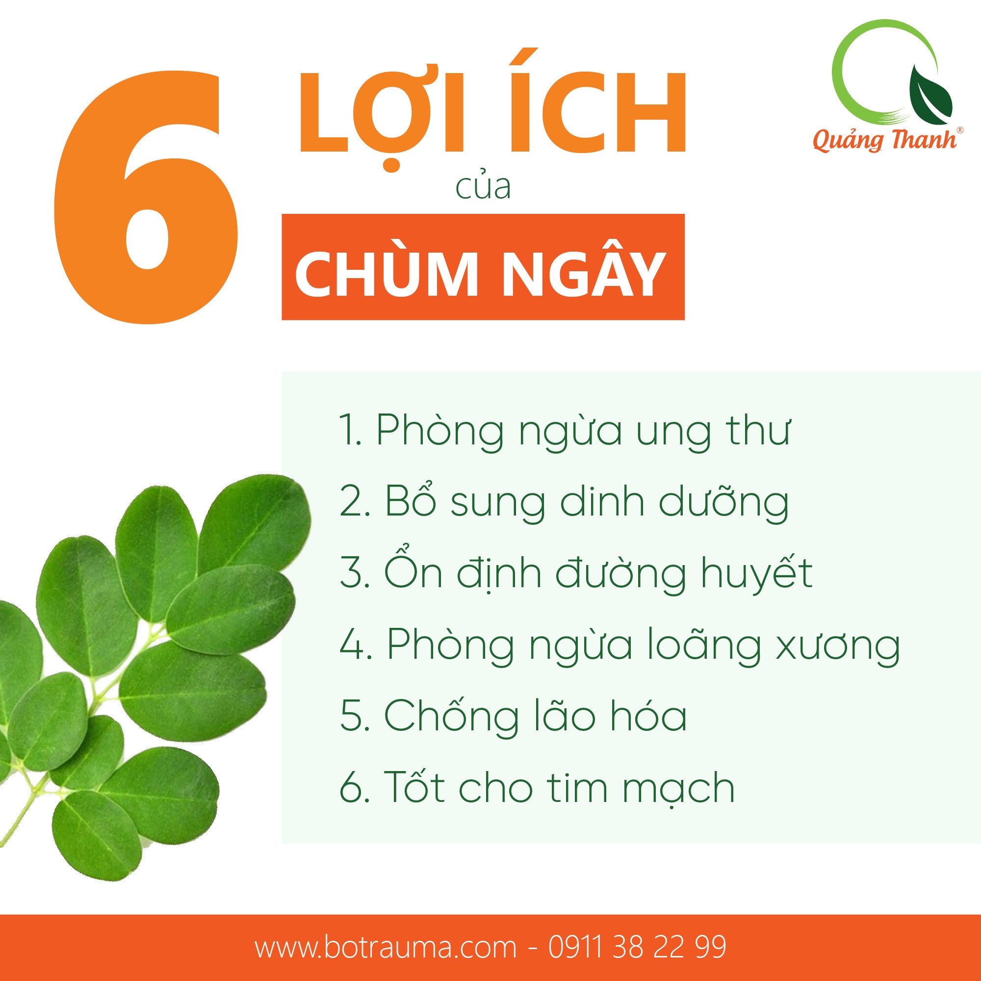 Bột Chùm Ngây - 100g - FREESHIP ĐƠN TỪ 495k