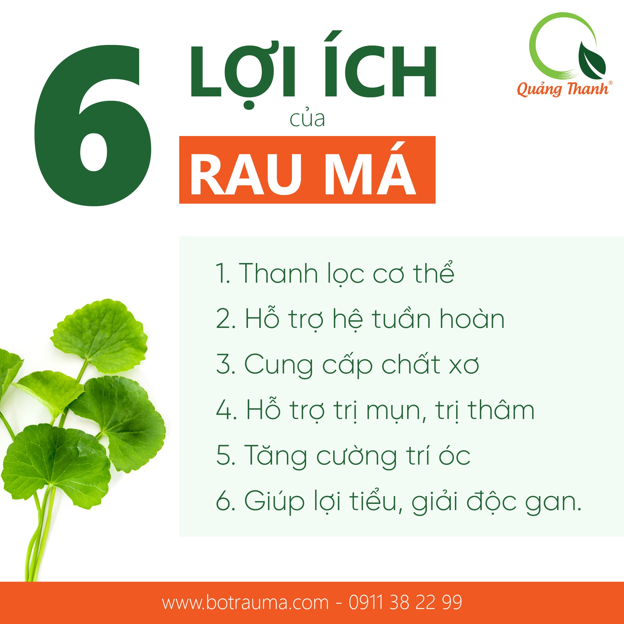 Rau Má Uống Liền Không Đường - Hộp 15 Gói - FREESHIP ĐƠN TỪ 300k
