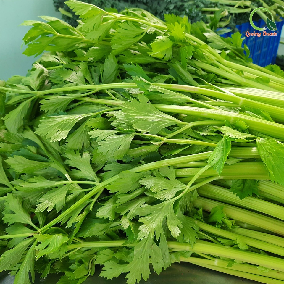 Bột Cần Tây - 50g - FREESHIP ĐƠN TỪ 300k
