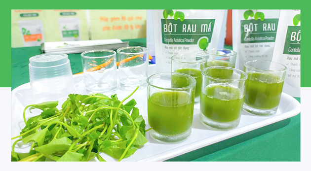Bột rau má sấy lạnh: tác dụng và cách dùng bột rau má sấy lạnh