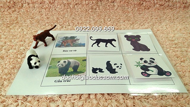 Bộ 36 con vật Safari - Hàng xuất dư + Thẻ nhận biết 3 cấp tên, hình bóng