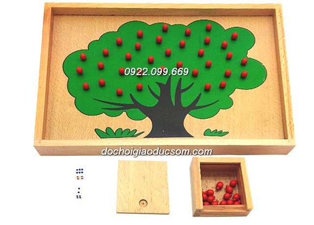 Cây táo học toán xuất khẩu - Giáo cụ Montessori