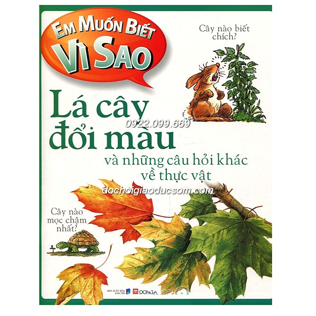 Em Muốn Biết Vì Sao: Lá Cây Đổi Màu