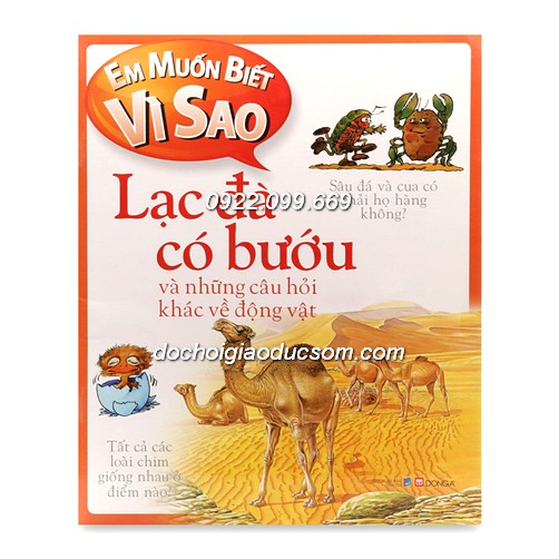 Em muốn biết vì sao - Lạc đà có bướu?