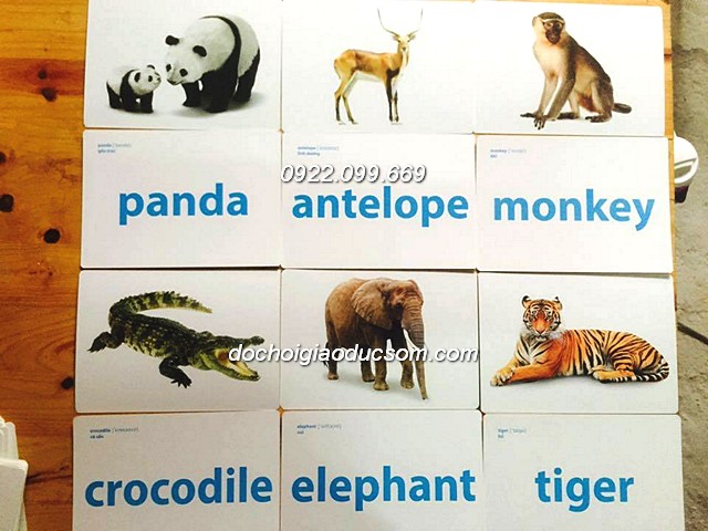 FLASH CARD nhận biết ĐỘNG VẬT HOANG DÃ - 24 Thẻ song ngữ