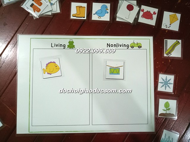 HỌC LIỆU CHO BÉ – Phân loại nhóm vật living vs nonliving