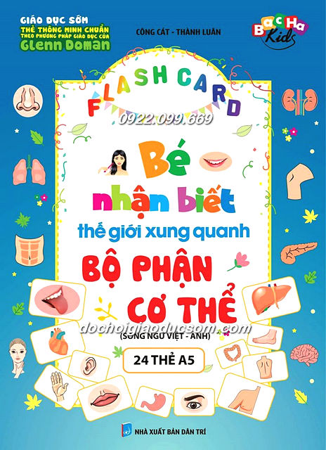 FLASH CARD BỘ PHẬN CƠ THỂ Giá rẻ