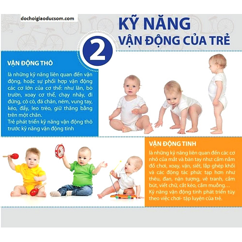 Kỹ năng vận động thô vận động tinh là gì?