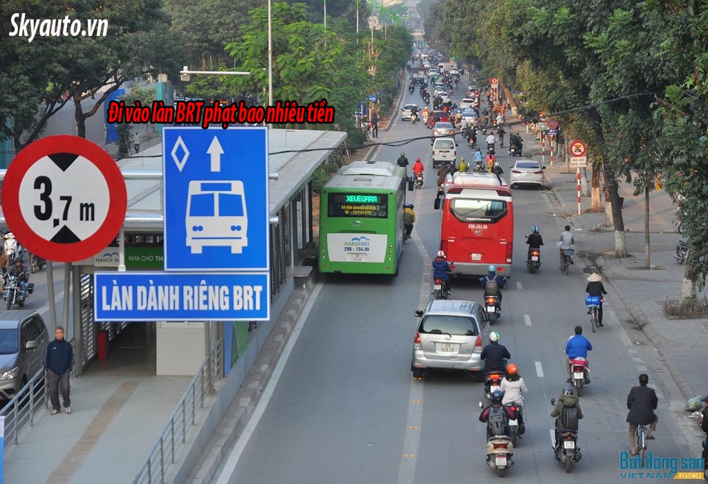 Đi vào làn BRT bị phạt bao nhiêu tiền?