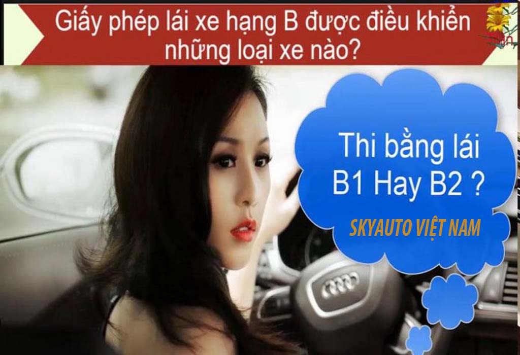 Phụ nữ nên học B1 hay B2?