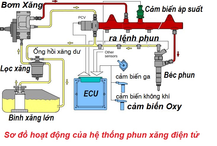 ECM LÀ GÌ? 1 SỐ SỰ KHÁC NHAU GIỮA ECM VÀ ECU LÀ GÌ? 5 ECM LÀ GÌ? 1 SỐ SỰ KHÁC NHAU GIỮA ECM VÀ ECU LÀ GÌ?