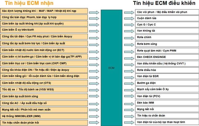 ECM là viết tắt của từ gì? Khám phá các ý nghĩa và ứng dụng của ECM