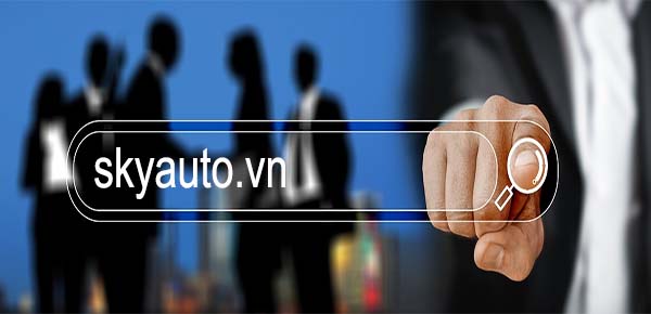 Skyauto Việt Nam