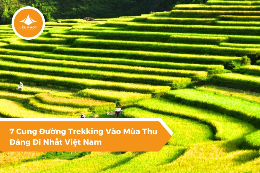 7 Cung Đường Trekking Vào Mùa Thu Đáng Đi Nhất Việt Nam