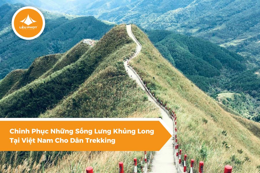 Chinh Phục Những Sống Lưng Khủng Long Tại Việt Nam Cho Dân Trekking