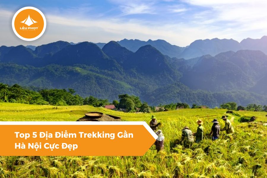 Top 5 Địa Điểm Trekking Gần Hà Nội Cực Đẹp
