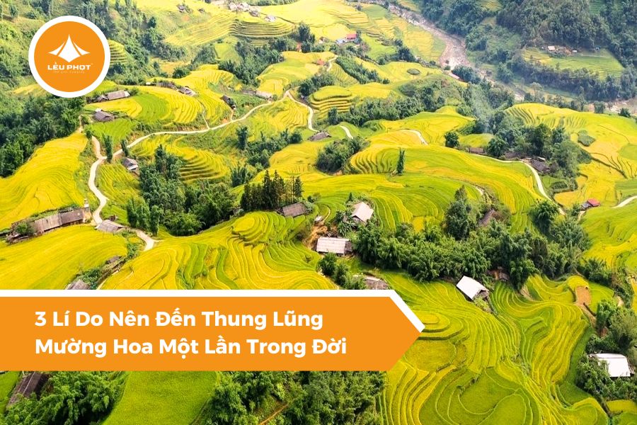 3 Lí Do Nên Đến Thung Lũng Mường Hoa Một Lần Trong Đời