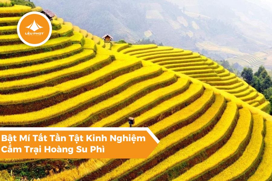 Bật Mí Tất Tần Tật Kinh Nghiệm Cắm Trại Hoàng Su Phì