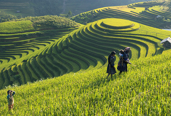 Tìm hiểu về Sapa