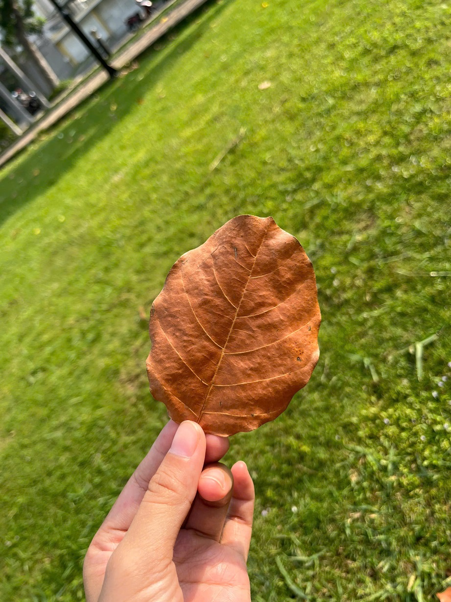 [Chuyện Sống] Giữ một chiếc lá xanh trong tiệm bánh nhỏ