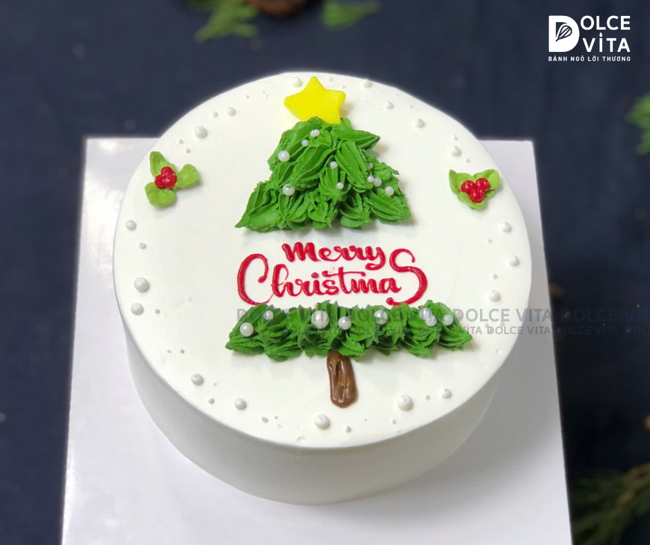 TD008 Bánh giáng sinh/ Noel/ Christmas cake)