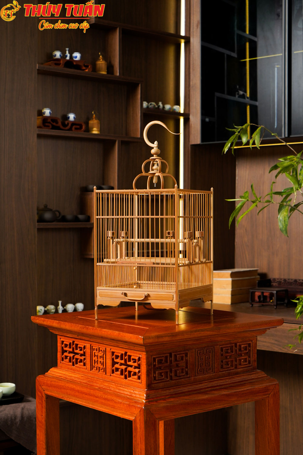 Kinh Nghiệm Chọn Lồng Khuyên và Phụ Kiện Chuẩn Cho Từng Giai Đoạn Nuôi