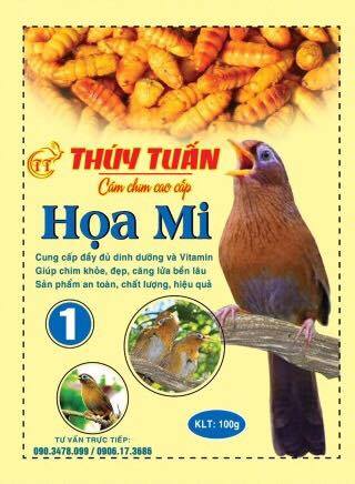 Cám họa mi số 1