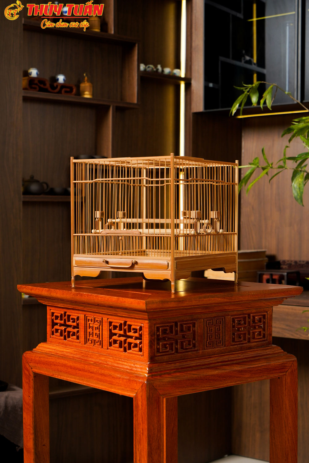 Lồng Vuông Để Bàn