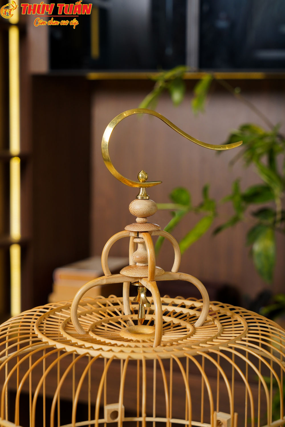 Lồng Khuyên Bố Lủng