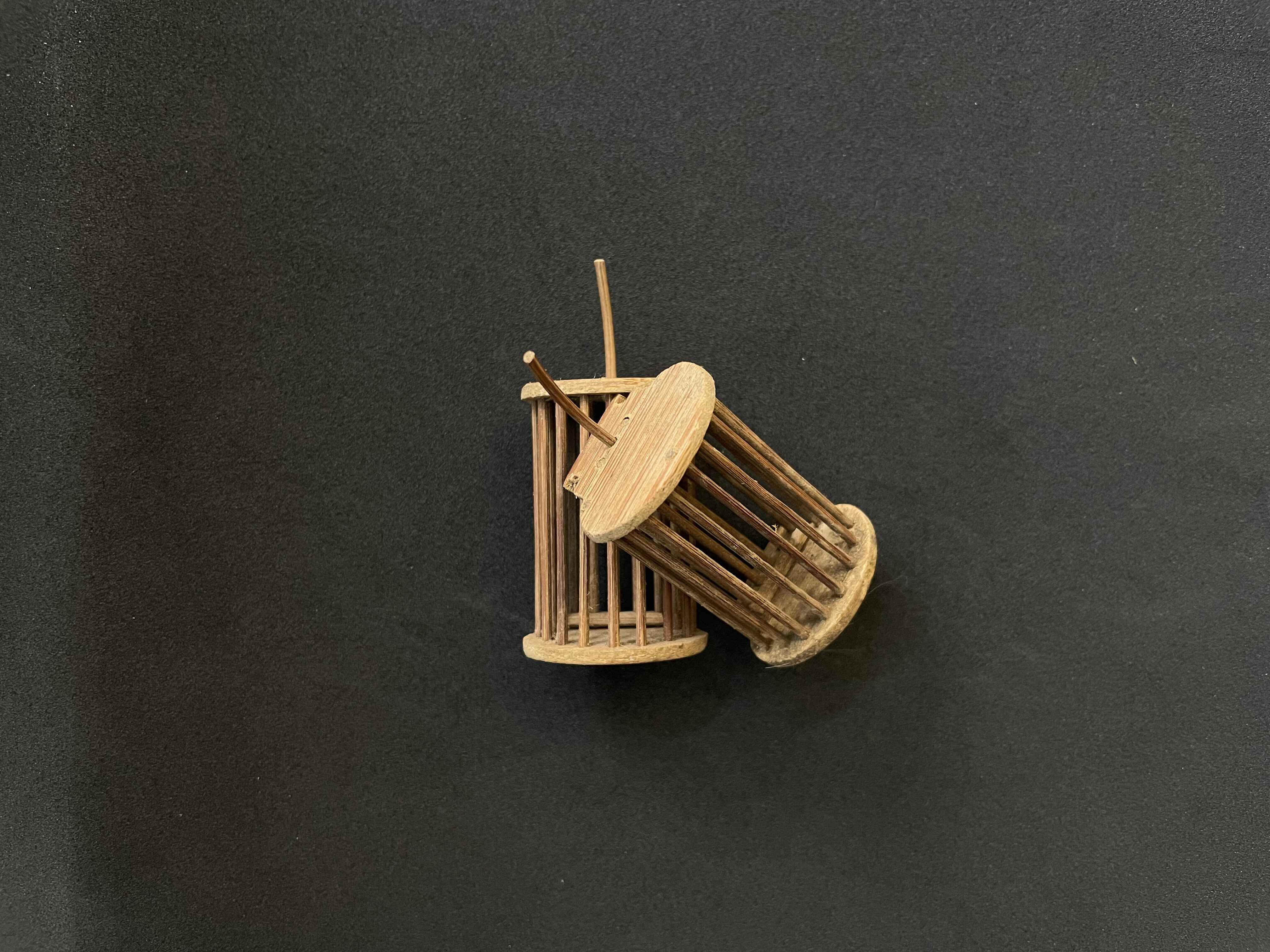 Rọ Dế Tre