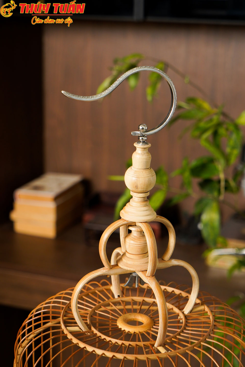 Lồng Tàu Dừa