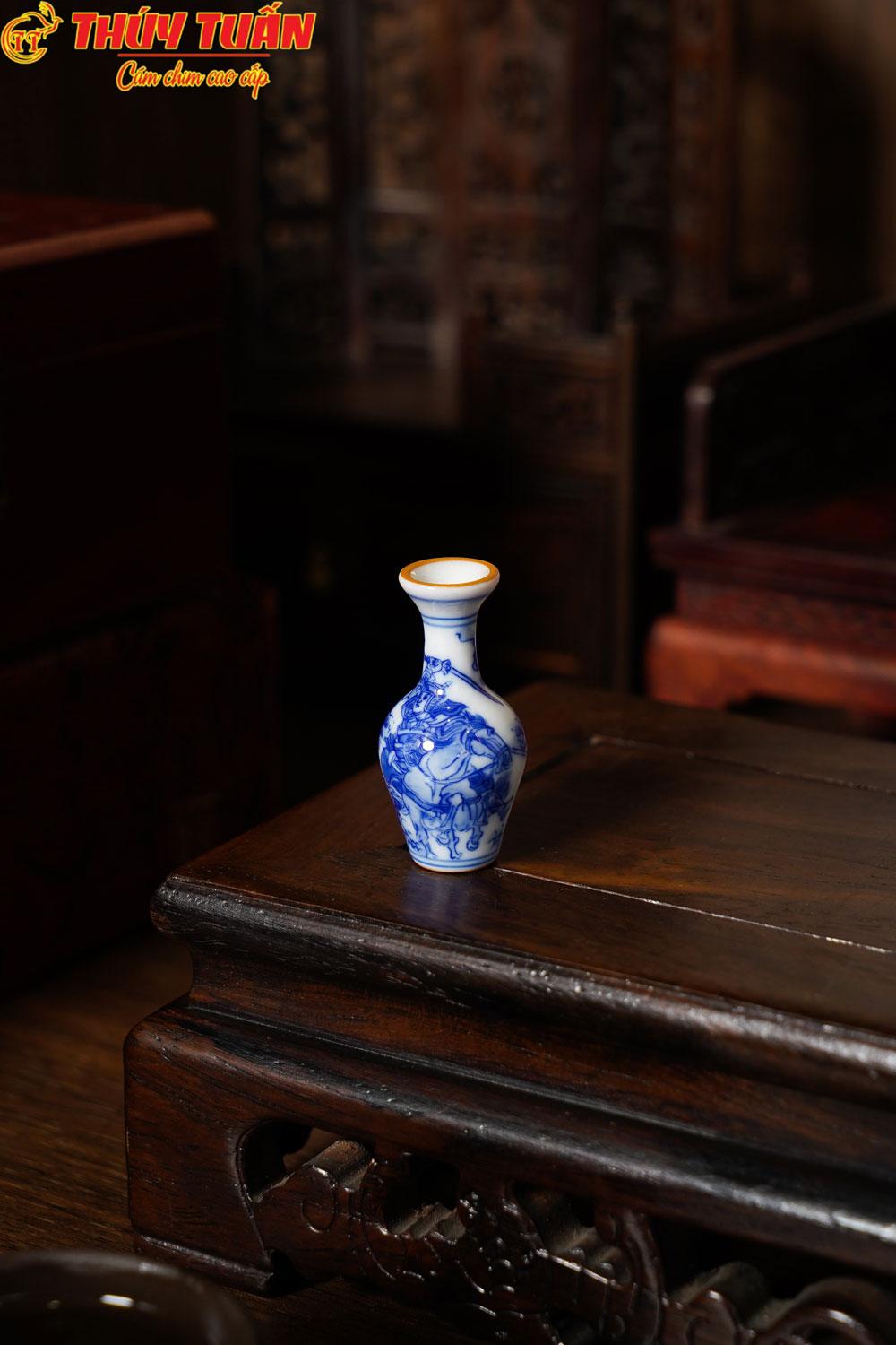 Cóng Tam Quốc - Chàm