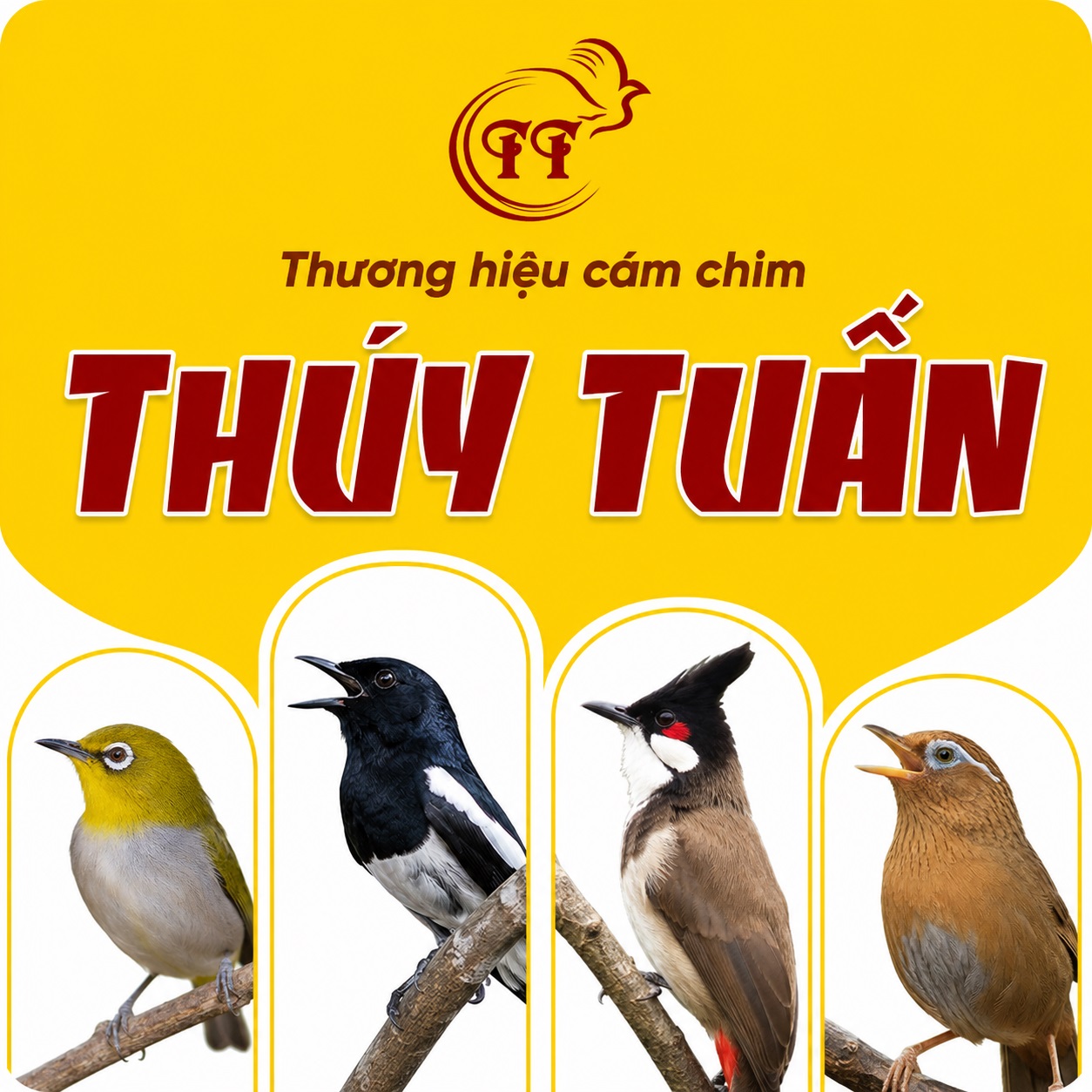 	Thương hiệu