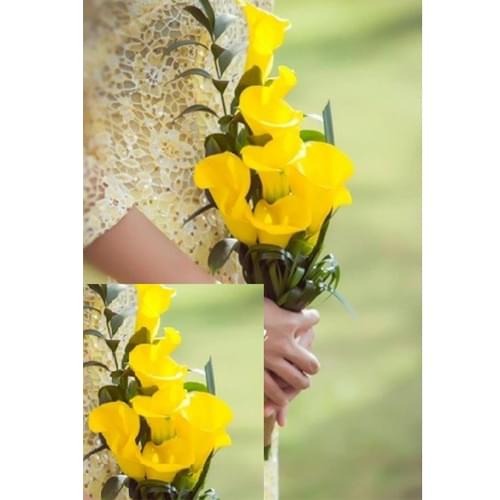  Hoa cô dâu cầm tay - Đóa hoa rực rỡ trên tay cô dâu xinh xắn 