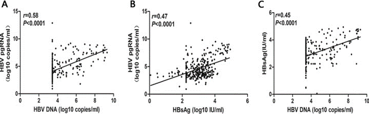 RNA tiền gen của virus viêm gan B